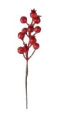 PICK CHIUDIPACCO BACCHE ROSSE