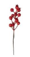 PICK CHIUDIPACCO BACCHE ROSSE