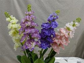 DELPHINIUM 115CM