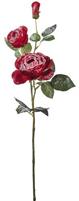 ROSA INNEVATA 2 FIORI ROSSA