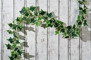 GHIRLANDA FOGLIE 200CM