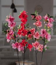 AZALEA