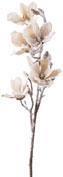 MAGNOLIA INNEVATA BIANCA