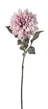 DALIA INNEVATA COLORATA H73CM