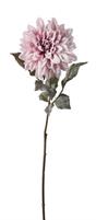 DALIA INNEVATA COLORATA H73CM