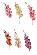 ORCHIDEA 9 FIORI 97CM