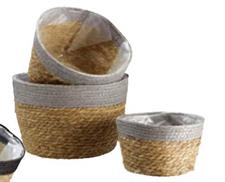 S3 FIORIRERE ERBA+CARTA 22-27-
