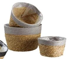 S3 FIORIRERE ERBA+CARTA 22-27-