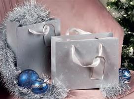BORSINA NATALE 31X12X26