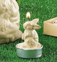 SET 6 CANDELE CONIGLIO