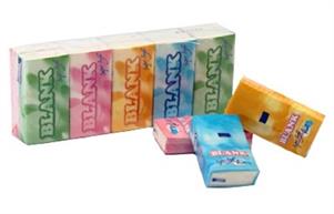 CONFEZIONE FAZZOLETTI CARTA PURA CELL. 10X10PZ