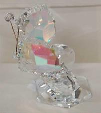 FARFALLA CRISTALLO MEDIA