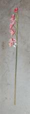 FIORE 16988 TRALCIO ORCHIDEA 7