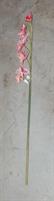 FIORE 16988 TRALCIO ORCHIDEA 7