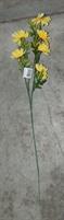 FIORE 17460  MARGHERITA  X  6