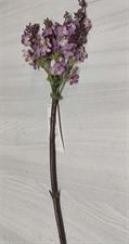 GIPSOFILA VIOLETTA 80CM