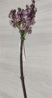 GIPSOFILA VIOLETTA 80CM