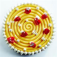 TOP IN SILICONE TONDO SPIRALE