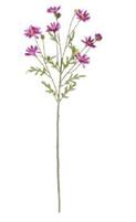 MARGHERITA LAVANDA SCURO 60CM