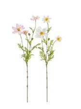 COSMOS 3 FIORI BIANCO-ROSA