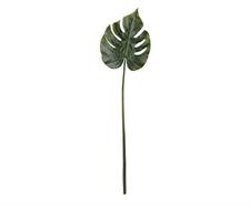 FOGLIA VERDE FILODENDRUM