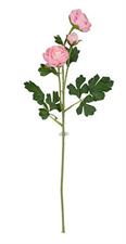 RAMO RANUNCOLO ROSA