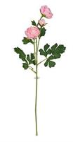RAMO RANUNCOLO ROSA