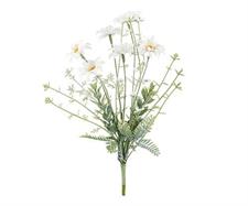 CESP.6 MARGHERITE BIANCHE H.30