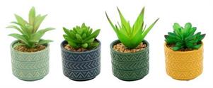 PIANTA CON VASO CERAMICA