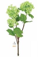 RAMO ORTENSIA VERDE