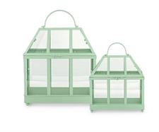 SET 2 SERRE COLOR SALVIA