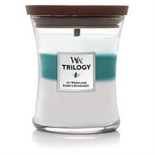 WW CANDELA TRILOGY MEDIA JAR I