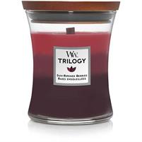 WW CANDELA TRILOGY MEDIA SUN