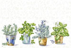 TOVAGLIETTA AMERICANA 43X29CM ERBE AROMATICHE