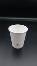 CONF.50 BICCHIERI BIO CARTONCINO 200ML 570703