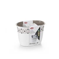SCOLAPOSATE TOSCA
