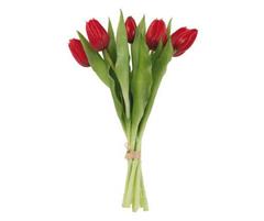 MAZZO 7 TULIPANI ROSSI H300