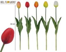 TULIPANO CLASSIC GOMMATO H42CM