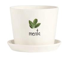 VASO MENTA 15CM H12