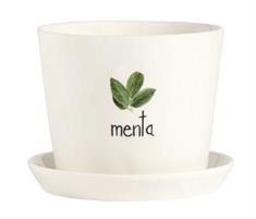 VASO MENTA 15CM H12