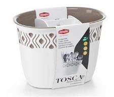SCOLAPOSATE TOSCA TORTORA