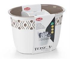 SCOLAPOSATE TOSCA TORTORA