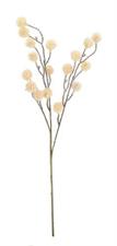 RAMO NORALY BEIGE 65CM