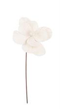 FIORE CHARMING AVORIO 22X50