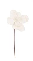 FIORE CHARMING AVORIO 22X50