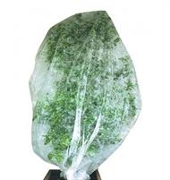 CAPPUCCIO TNT BIANCO 1X1.6MT SET 3PZ