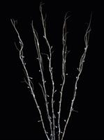 RAMI LUMINOSI 5 RAMI H120 60 NANOLED