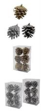 SET 6 PIGNE 6CM