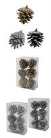 SET 6 PIGNE 6CM