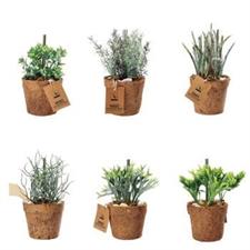 VASO CON PIANTINE GRASSE H21CM